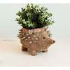 Mama and Baby Hedgehog Planter Set - Pots - 4