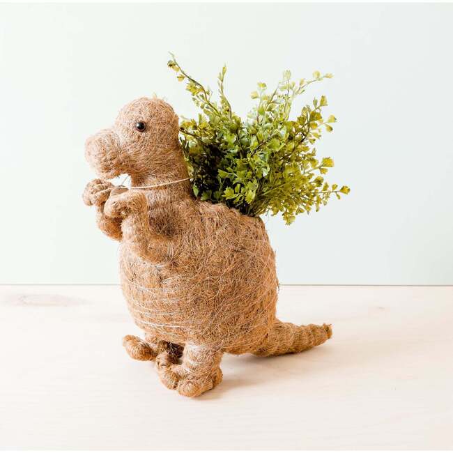 Mama and Baby T-Rex Planter Set - Pots - 3