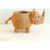 Mama and Baby Rhino Planter Set - Pots - 6