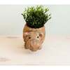 Mama and Baby Hippo Planter Set - Pots - 3