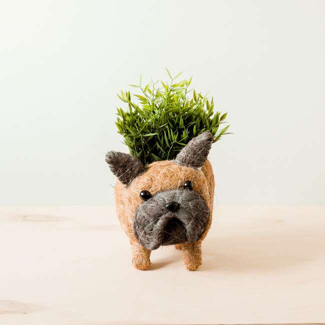 Mama and Baby French Bulldog Planter Set - Pots - 2