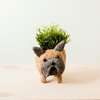 Mama and Baby French Bulldog Planter Set - Pots - 2