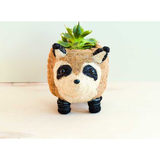 Mama and Baby Raccoon Planter Set - Pots - 2