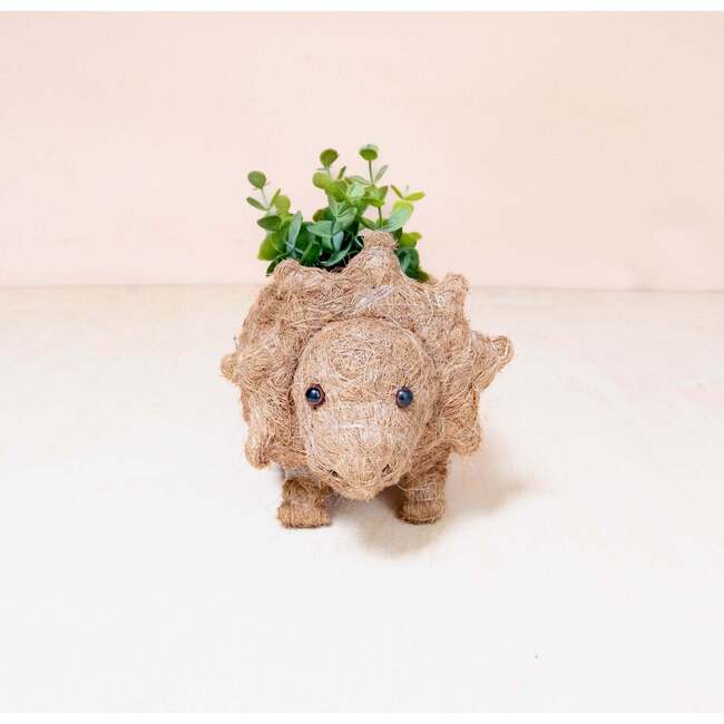 Mama and Baby Triceratops Planter Set - Pots - 5