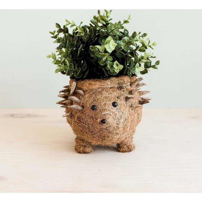 Mama and Baby Hedgehog Planter Set - Pots - 5