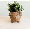 Mama and Baby Hedgehog Planter Set - Pots - 5