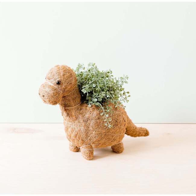 Mama and Baby Brontosaurus Planter Set - Pots - 3