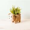 Mama and Baby English Bulldog Planter Set - Pots - 3