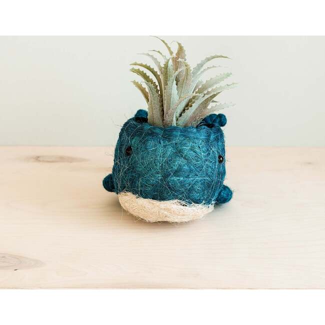 Mama and Baby Whale Planter Set - Pots - 3