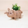 Mama and Baby Elephant Planter Set - Pots - 5