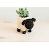 Mama and Baby Sheep Planter Set - Pots - 5