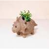 Mama and Baby Triceratops Planter Set - Pots - 6