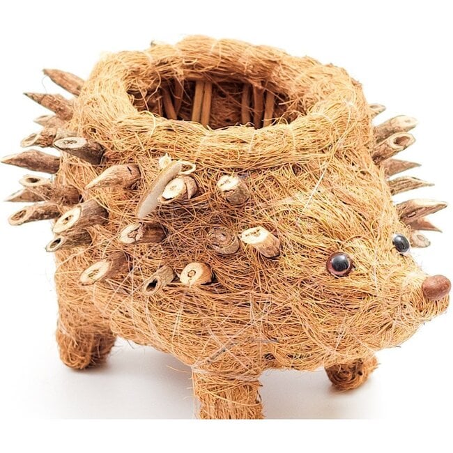 Mama and Baby Hedgehog Planter Set - Pots - 7