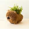 Chow Chow and Shih Tzu Planter Set - Pots - 2