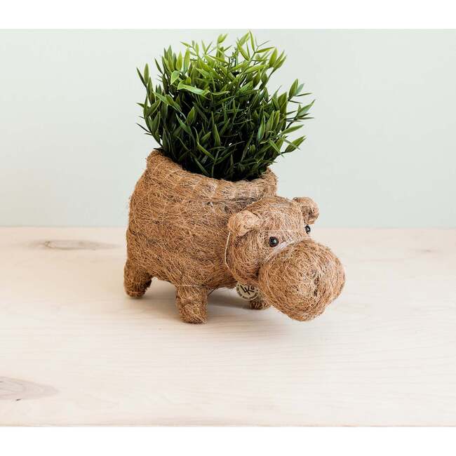 Mama and Baby Hippo Planter Set - Pots - 4