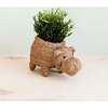 Mama and Baby Hippo Planter Set - Pots - 4
