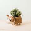 Mama and Baby Corgi Planter Set - Pots - 3