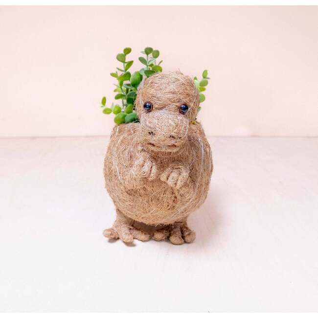 Mama and Baby T-Rex Planter Set - Pots - 5