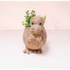 Mama and Baby T-Rex Planter Set - Pots - 5