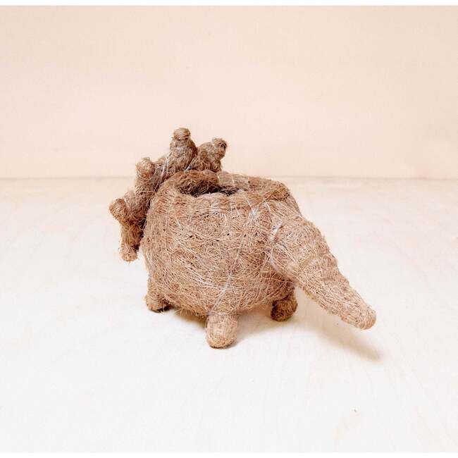 Mama and Baby Triceratops Planter Set - Pots - 7