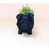 Mama and Baby Schnauzer Planter Set - Pots - 5