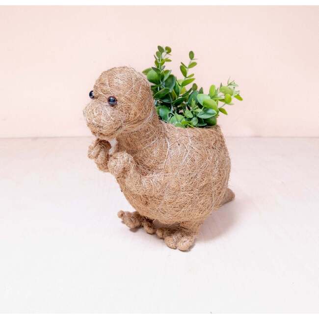 Mama and Baby T-Rex Planter Set - Pots - 6