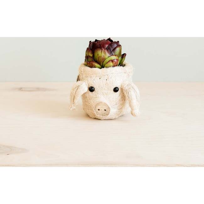 Coco Coir Animal Head Plant Pots - Animal Heads - 4
