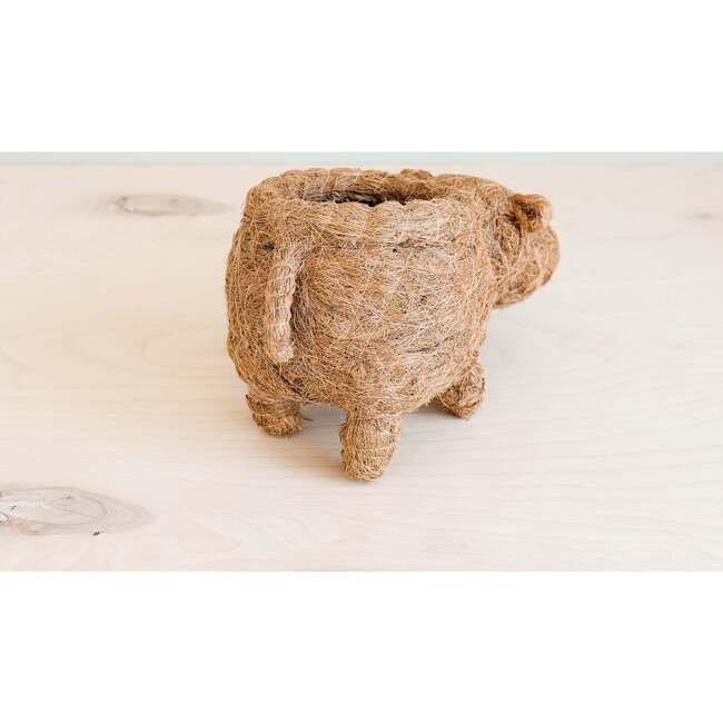 Mama and Baby Hippo Planter Set - Pots - 5