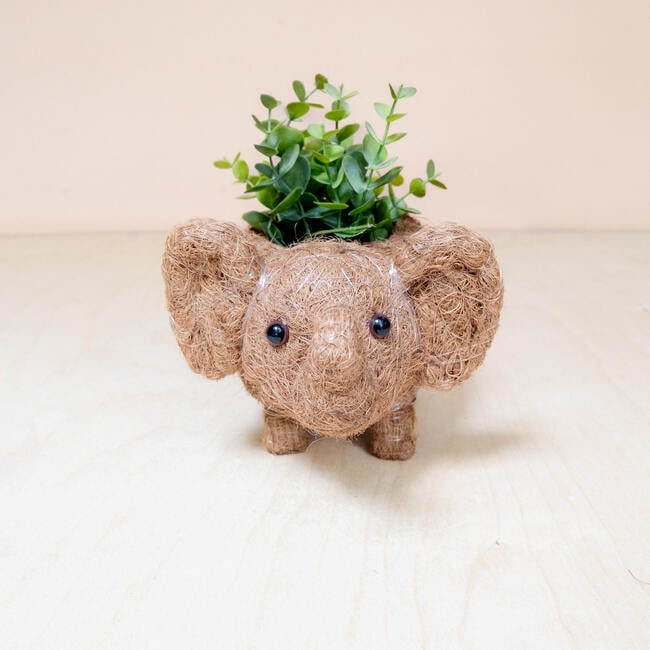 Mama and Baby Elephant Planter Set - Pots - 6