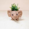 Mama and Baby Elephant Planter Set - Pots - 6