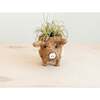 Mama and Baby Pig Planter Set - Pots - 5