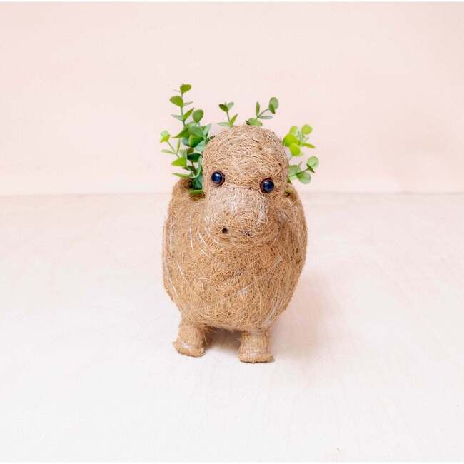 Mama and Baby Brontosaurus Planter Set - Pots - 5