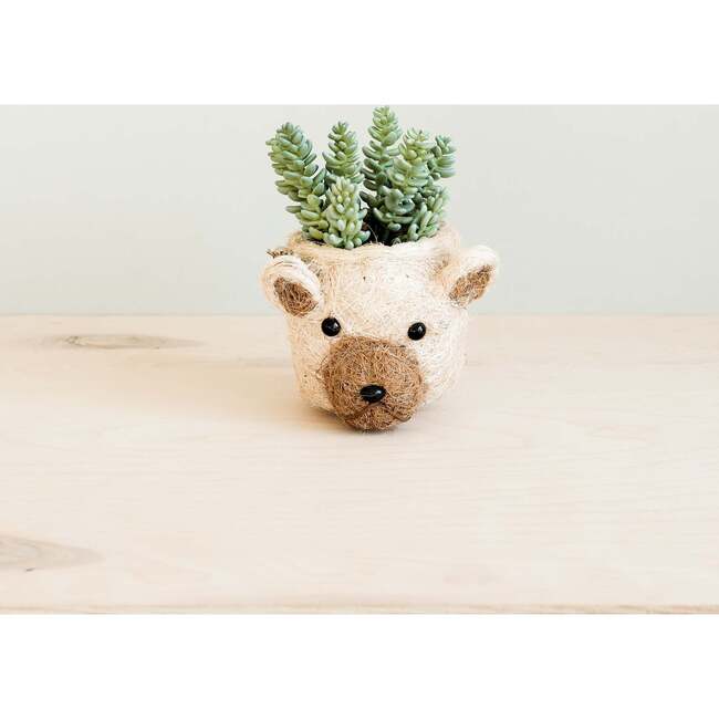 Coco Coir Animal Head Plant Pots - Animal Heads - 5