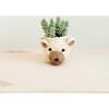Coco Coir Animal Head Plant Pots - Animal Heads - 5