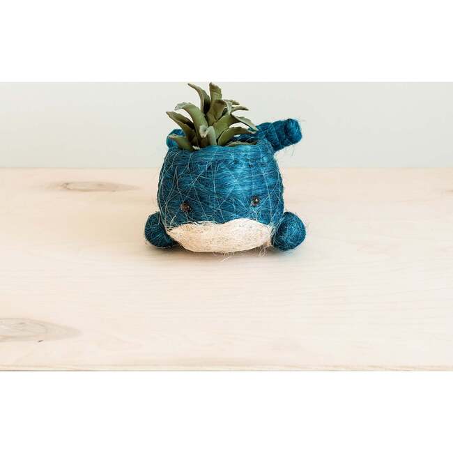 Mama and Baby Whale Planter Set - Pots - 6