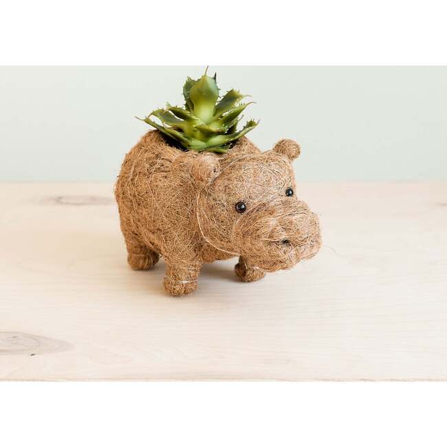 Mama and Baby Hippo Planter Set - Pots - 6