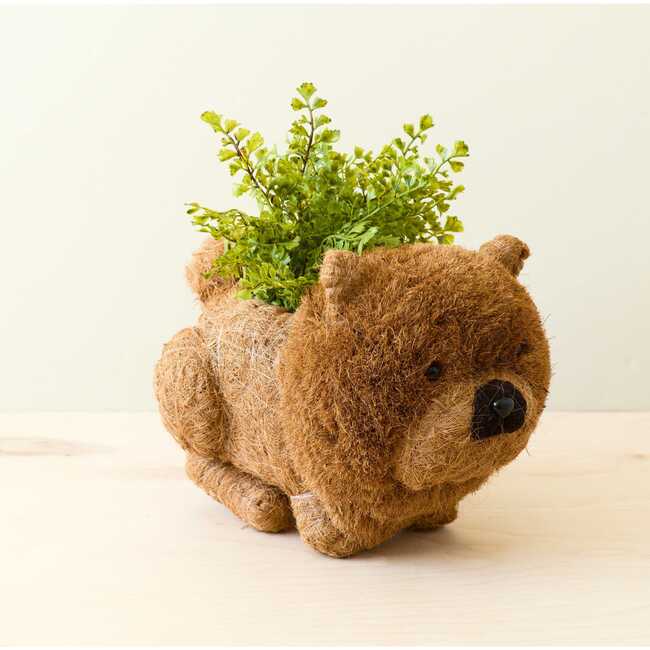Chow Chow and Shih Tzu Planter Set - Pots - 3