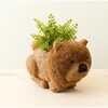 Chow Chow and Shih Tzu Planter Set - Pots - 3