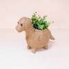 Mama and Baby Brontosaurus Planter Set - Pots - 6