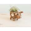 Mama and Baby Pig Planter Set - Pots - 6