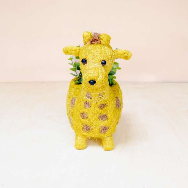 Mama and Baby Giraffe Planter Set - Pots - 5
