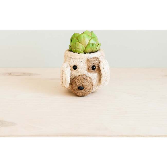 Coco Coir Animal Head Plant Pots - Animal Heads - 7