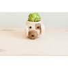 Coco Coir Animal Head Plant Pots - Animal Heads - 7