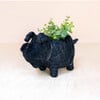 Mama and Baby Schnauzer Planter Set - Pots - 6