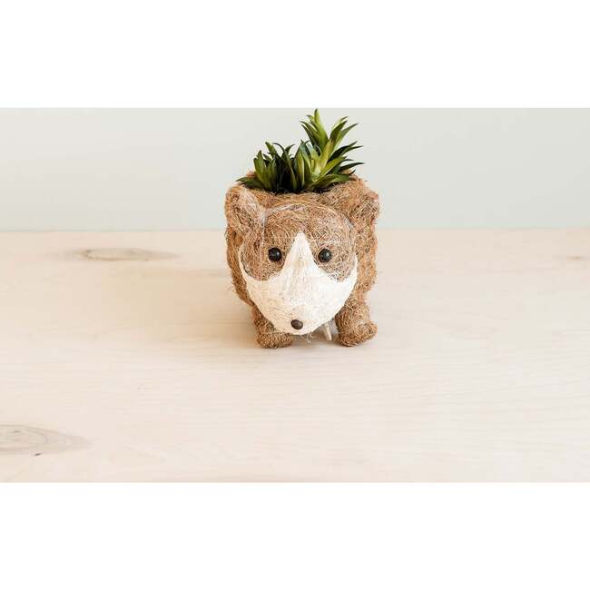 Mama and Baby Corgi Planter Set - Pots - 5
