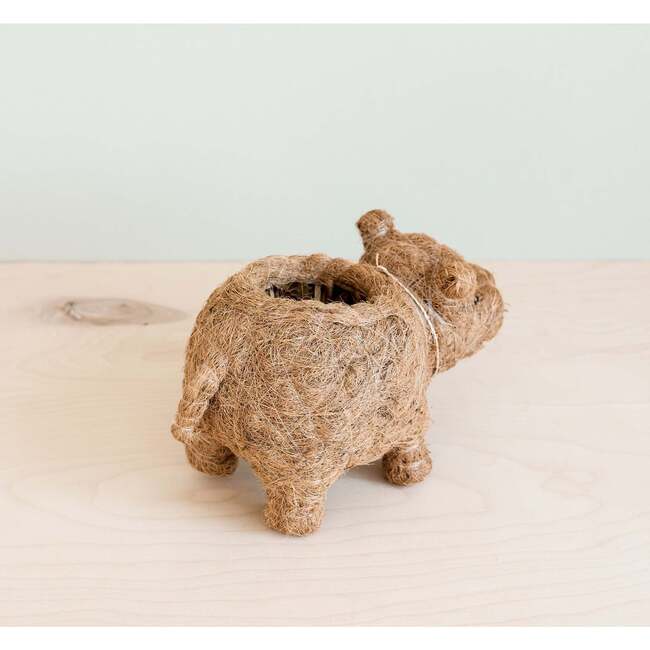 Mama and Baby Hippo Planter Set - Pots - 7