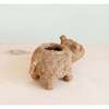 Mama and Baby Hippo Planter Set - Pots - 7