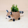 Mama and Baby Raccoon Planter Set - Pots - 5