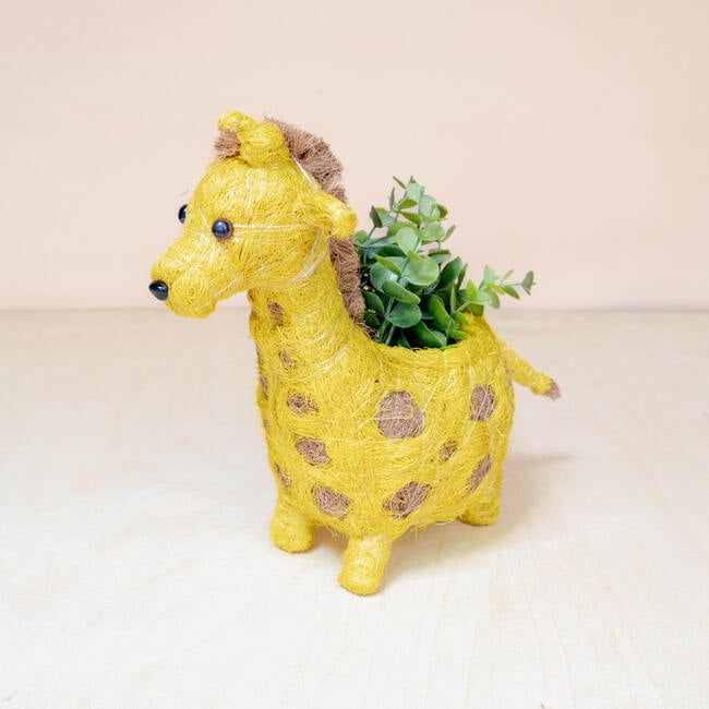 Mama and Baby Giraffe Planter Set - Pots - 6