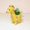 Mama and Baby Giraffe Planter Set - Pots - 6
